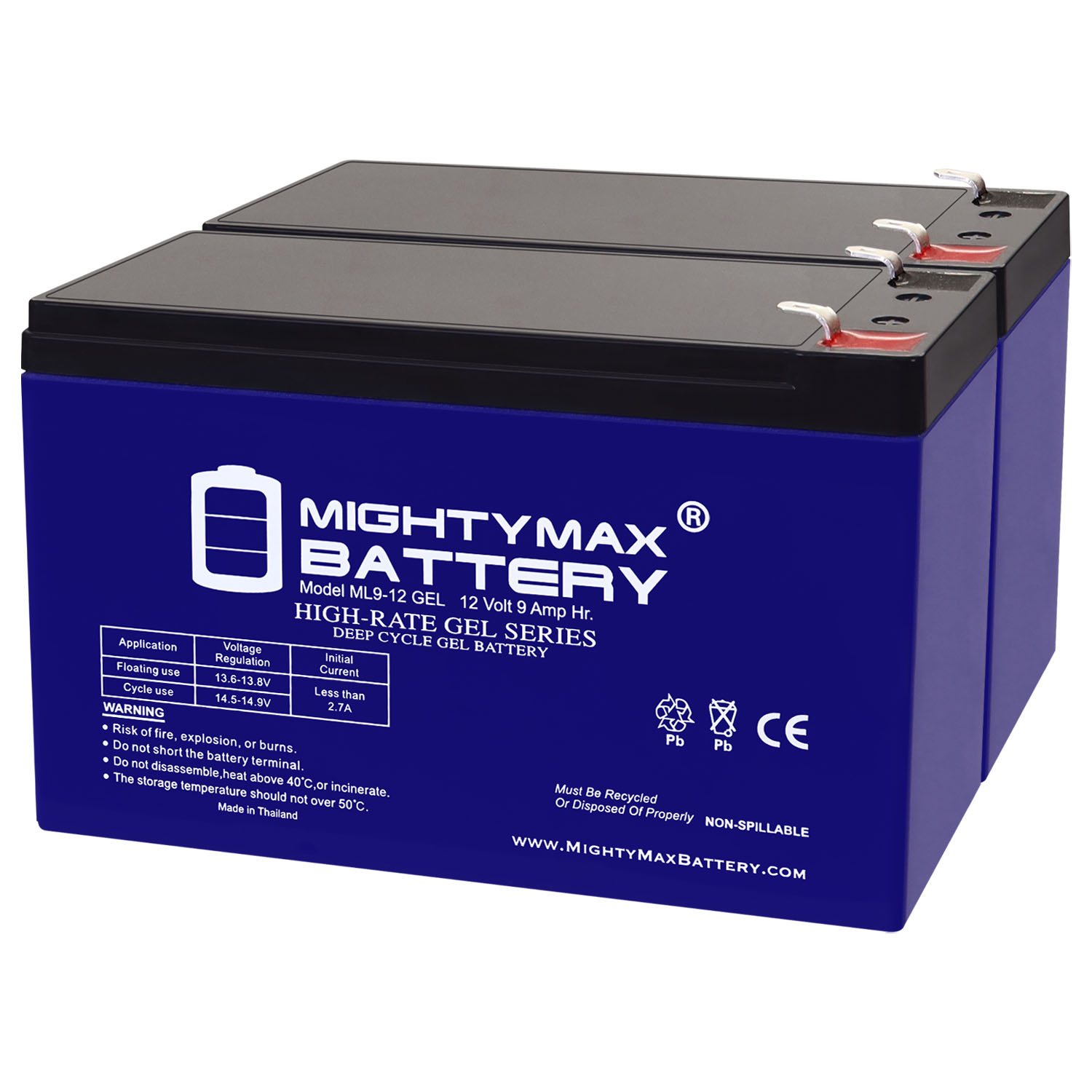 12V 9AH GEL F2 Replacement Battery Compatible with Exide PowerWare PW 9125-3000 - 2 Pack
