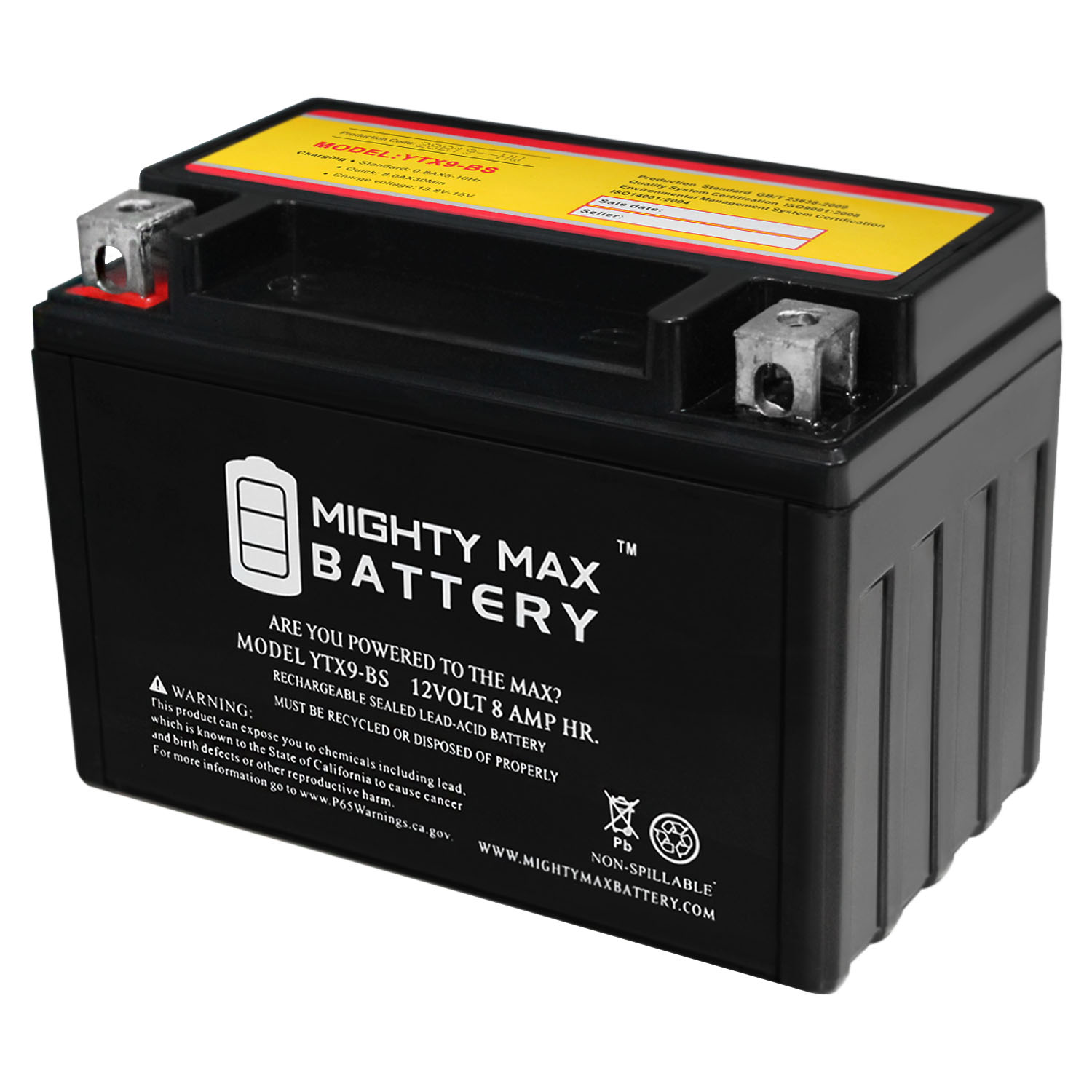 YTX9-BS -12 Volt 8 AH, 135 CCA, Rechargeable Maintenance Free SLA AGM Motorcycle Battery - YTX9-BS