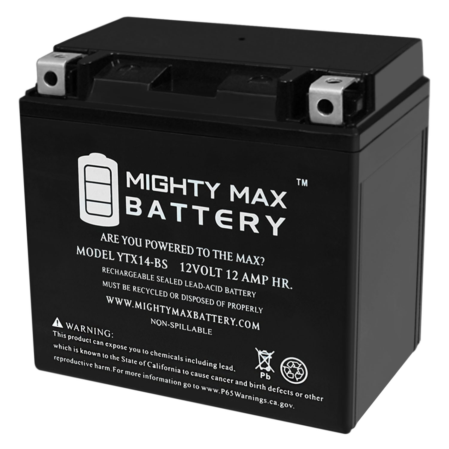 YTX14-BS - 12 Volt 12 AH, 200 CCA, Rechargeable Maintenance Free SLA AGM Motorcycle Battery - YTX14-BS